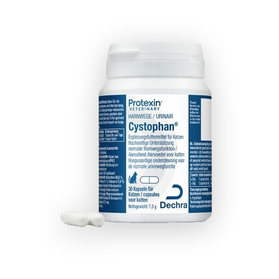 Dechra Cystophan für Katzen