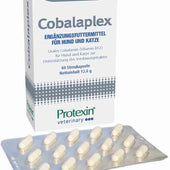 Dechra Cobalaplex fuer Hunde und Katzen 60 Kapseln