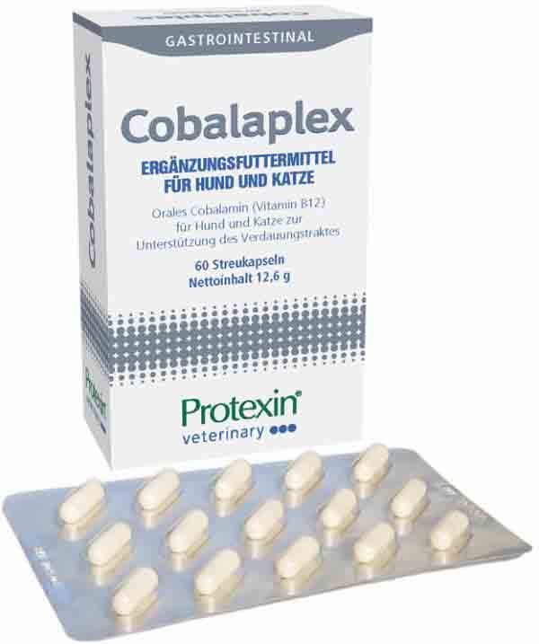 Dechra Cobalaplex fuer Hunde und Katzen 60 Kapseln