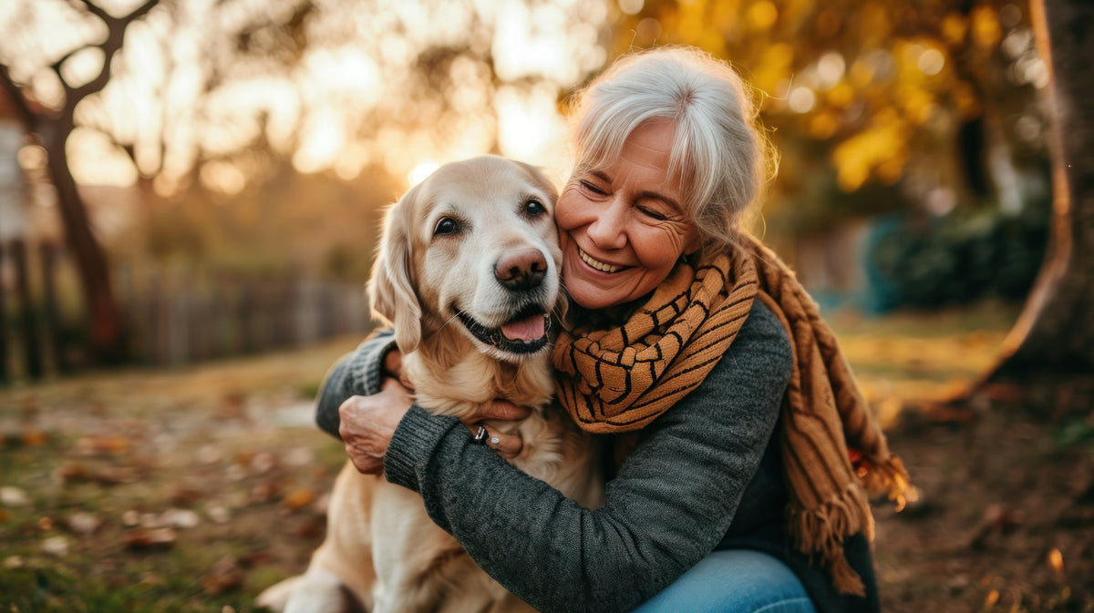Alter Hund im Herbstwald wird von seiner Halterin umarmt