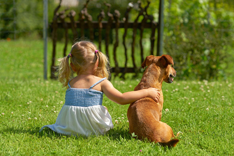Herbstgrasmilben bei Hund und Katze Card Image
