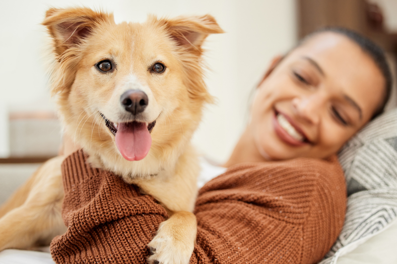 Hund aus dem Arm seiner Halterin