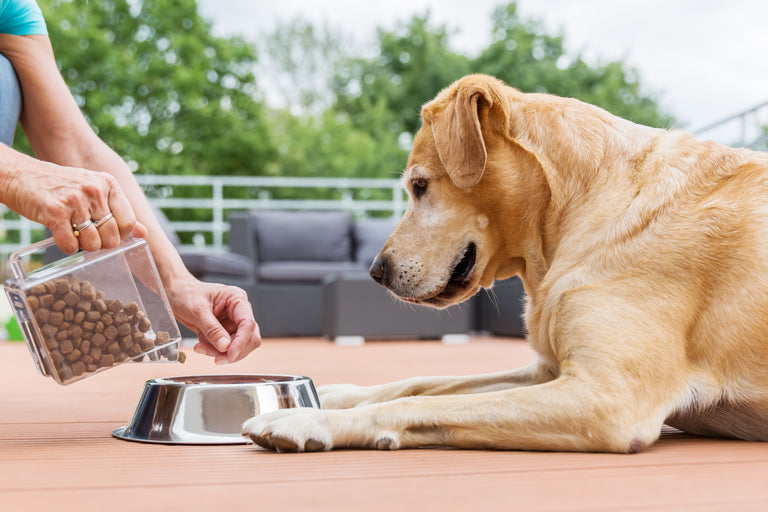 Gesundes Abnehmen wird für Hund und Katze ab jetzt einfacher! Card Image