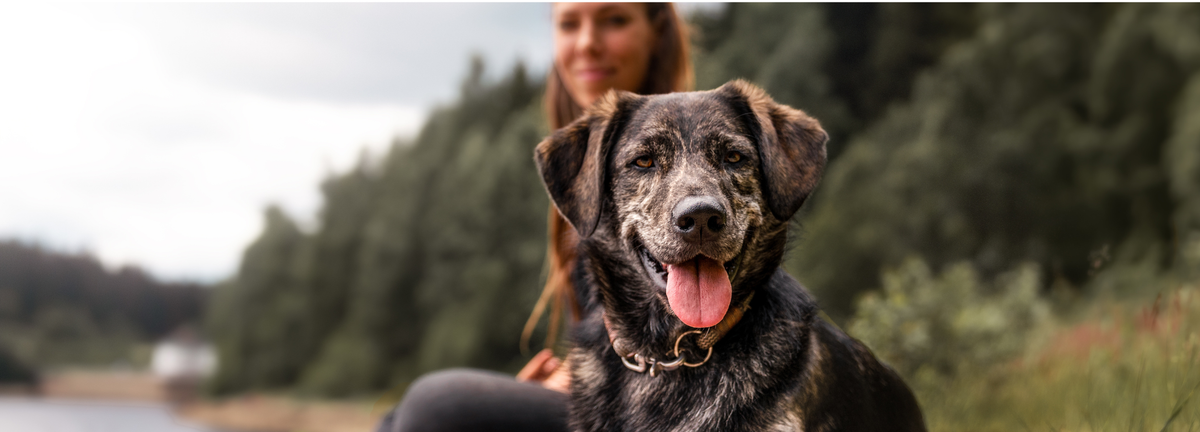 Hund und Halterin sitzen entspannt an einem Bergsee