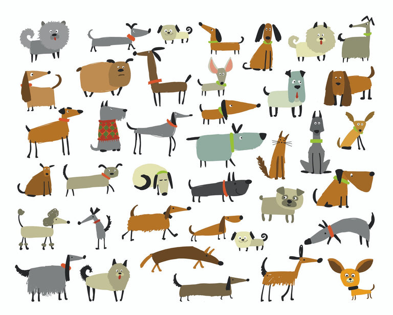 Welcher Hund passt zu uns? Card Image