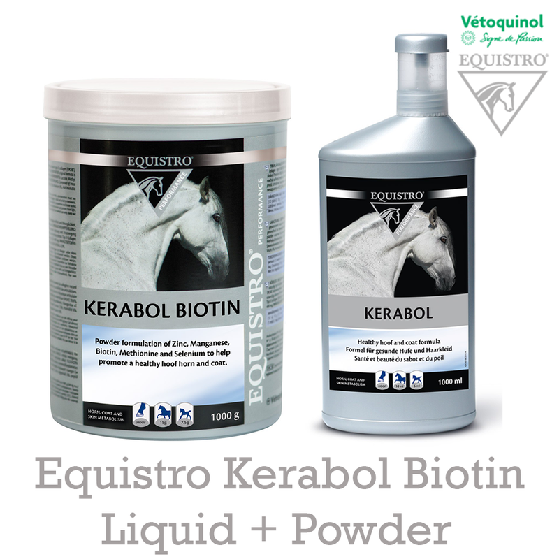Equistro Kerabol Bioton Liquid + Powder fürs Pferd
