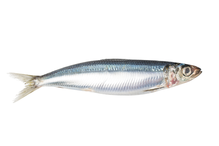 Fischöl