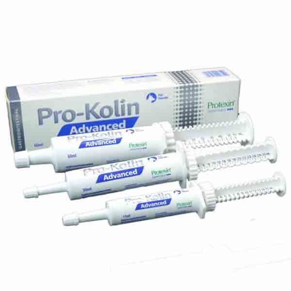 Pro-Kolin Advanced Hund