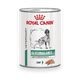 Glycobalance Low Carb Mousse große Dosen für Hunde