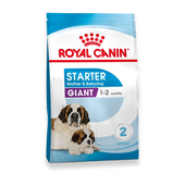Royal Canin Giant Starter Trockenfutter