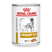 Royal Canin Urinary S/O Mousse Hund Dosen