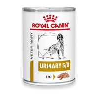 Royal Canin Urinary S/O Mousse Hund Dosen