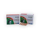 Selectavet Antinol Hund