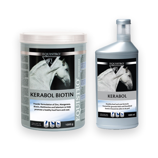 Equistro Kerabol Bioton Liquid + Powder fürs Pferd